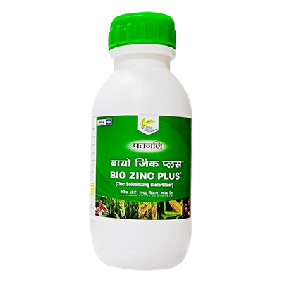 PATANJALI BIO ZINC