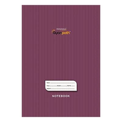 A4 Gyanpath 29.7x21cm Purple 192p SL