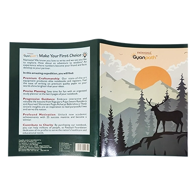 Gyanpath 18x24 Cm K. Multi Design 172p SL