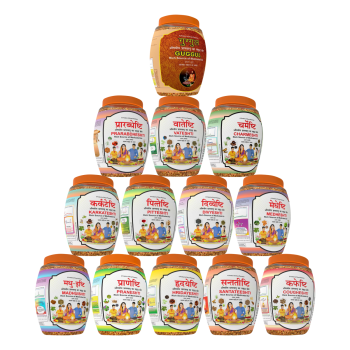 Divya Hawan Samagri Kit (13 Jars) 