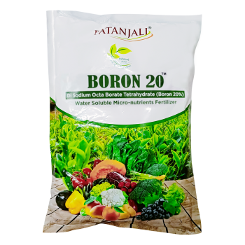 PATANJALI BORON 20