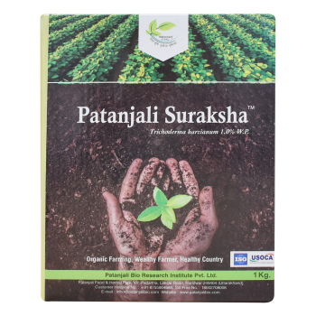 Patanjali Suraksha