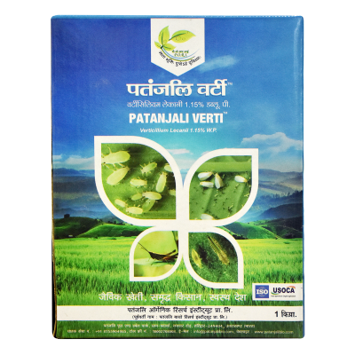 Patanjali Verti